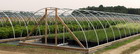 Photo of Hoop House  - Click to enlarge