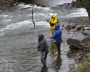 Anglers on the Musconetcong