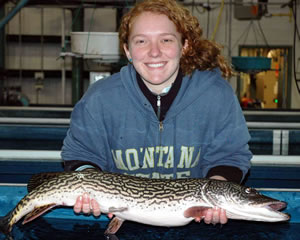Employee with pike