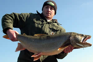 Lake trout about 20 pounds