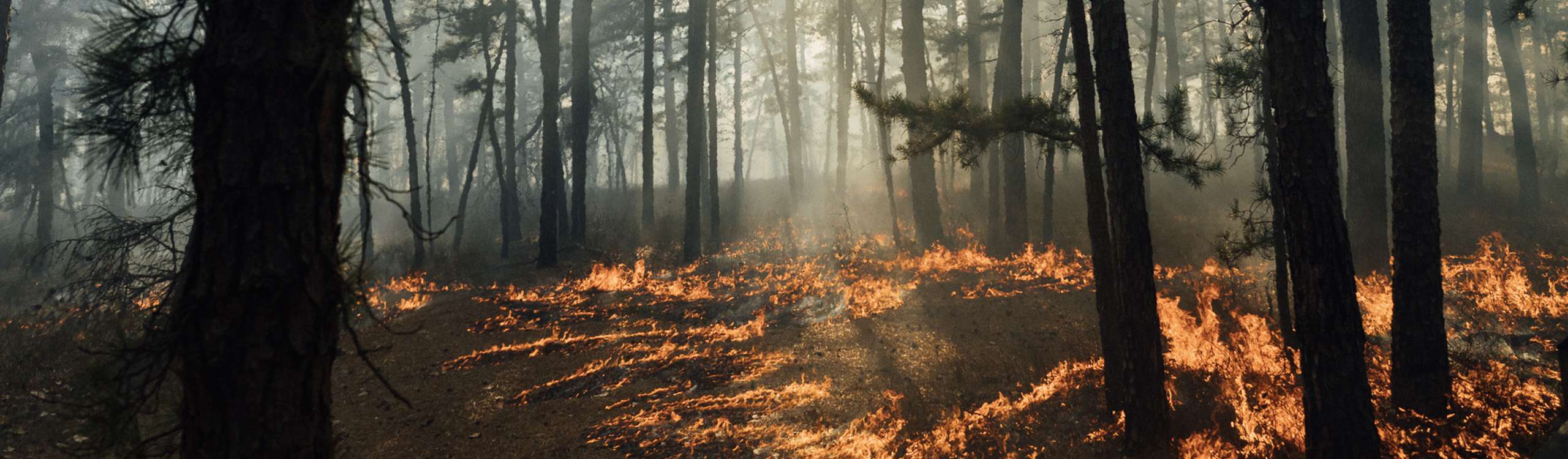 During Peak Season, Follow Eight Tips to Prevent Wildfires