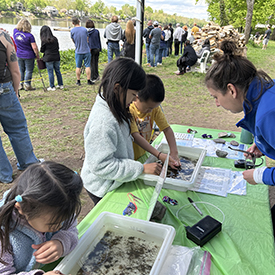 Kids & adults love checking out the trays to see what types of bugs they can find. Photo by the DRBC.