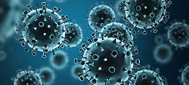 Photo of Influenza virus